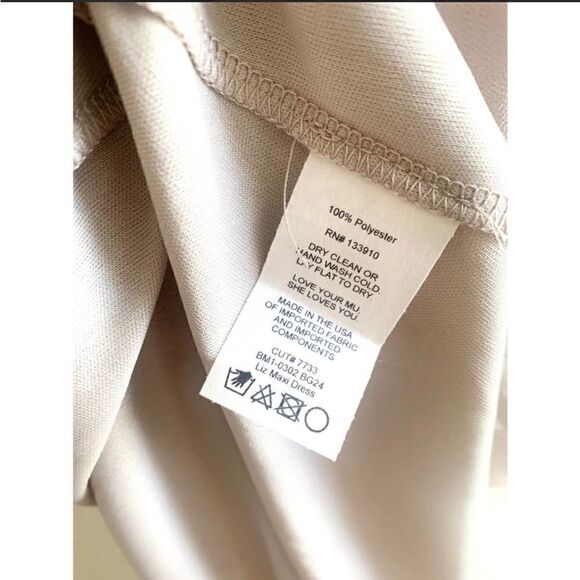 Show Me Your Mumu Liz Maxi Dress in Soft Beige Chiffon  XS - Picture 3 of 8